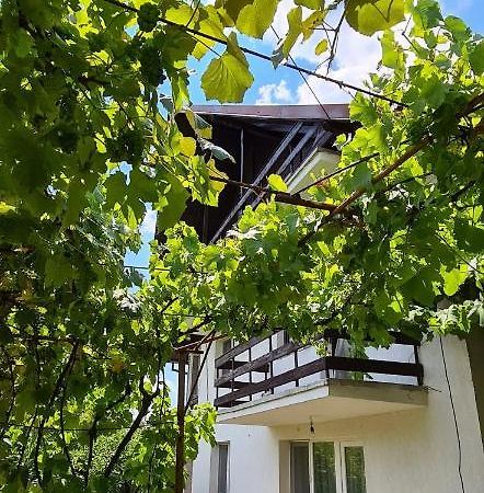 Cazare Vila Maria Daire Curtea de Argeş Dış mekan fotoğraf