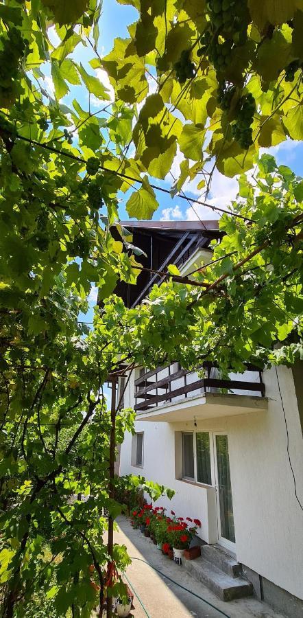 Cazare Vila Maria Daire Curtea de Argeş Dış mekan fotoğraf